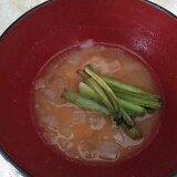 小松菜と玉ねぎのみそ汁